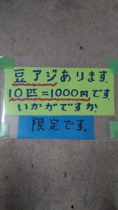 豆アジ販売中